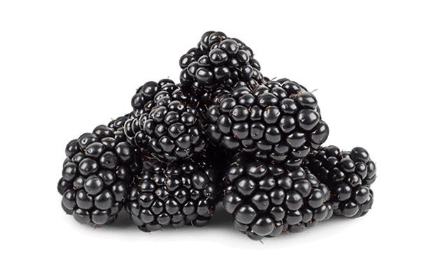 Blackberries